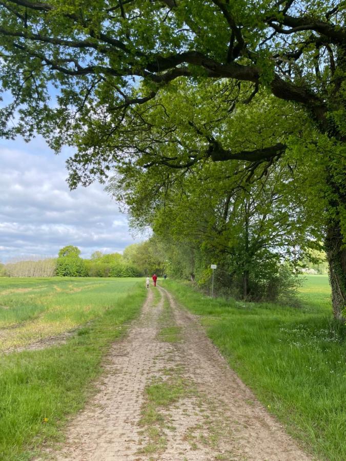 Luxus Lindenhof Apartments -Ferienwohnungen In Friesland An Der Nordsee Am Naturschutzgebiet Urwald Neuenburg  Dış mekan fotoğraf